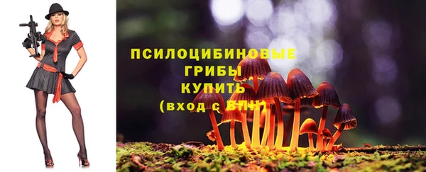 ALPHA PVP Алексин